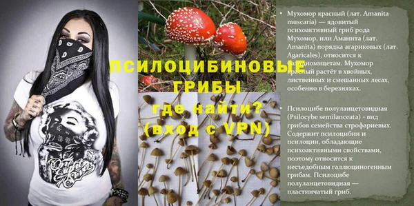 экстази Белокуриха