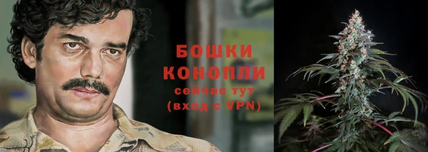 экстази Белокуриха