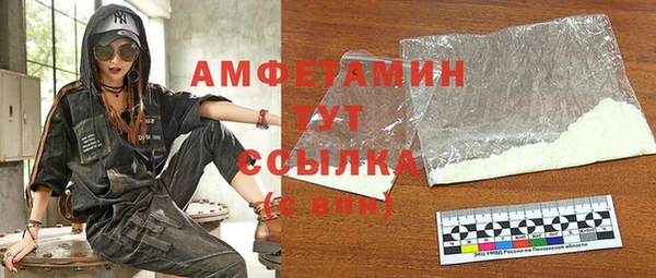 прущий лед Бородино