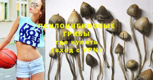 экстази Белокуриха